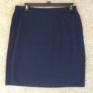 Navy St John Skirt